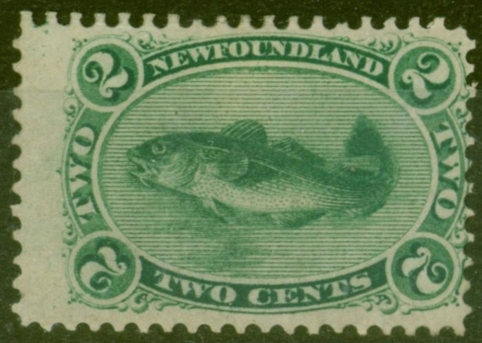 Rare Postage Stamp from Newfoundland 1865 2c Yellowish Green SG25 Fine Mtd Mint
