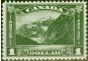 Valuable Postage Stamp Canada 1930 $1 Olive-Green SG303 Fine & Fresh LMM