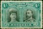 Rare Postage Stamp Rhodesia 1910 1s Grey-Black & Deep Blue-Green SG151 Fine & Fresh MM