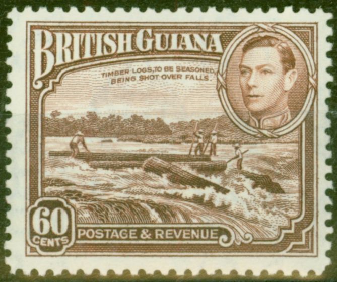 Rare Postage Stamp from British Guiana 1938 60c Red-Brown SG315 V.F MNH