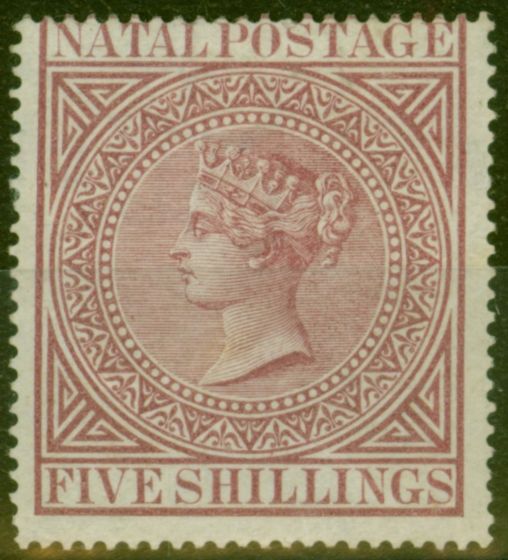 Valuable Postage Stamp from Natal 1882 5s Maroon SG71 Fine Mtd Mint