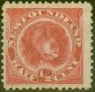 Rare Postage Stamp from Newfoundland 1887 1/2c Rose-Red SG49 Fine Mtd Mint