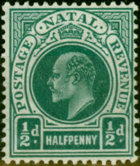 Old Postage Stamp Natal 1904 1/2d Blue-Green SG146 V.F MNH