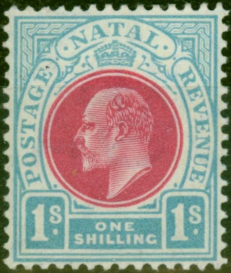 Old Postage Stamp from Natal 1904 1s Carmine & Pale Blue SG155 Fine Lightly Mtd Mint