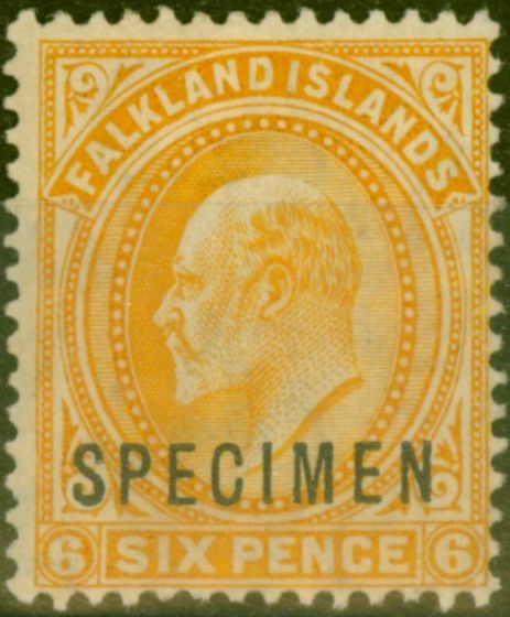 Valuable Postage Stamp from Falkland Islands 1904 6d Orange Specimen SG47s Fine Lightly Mtd Mint