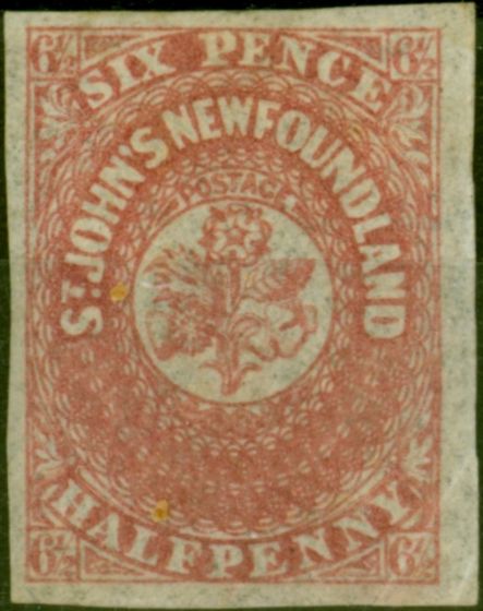 Old Postage Stamp Newfoundland 1862 6 1/2d  Rose-Lake SG21 Fine MM