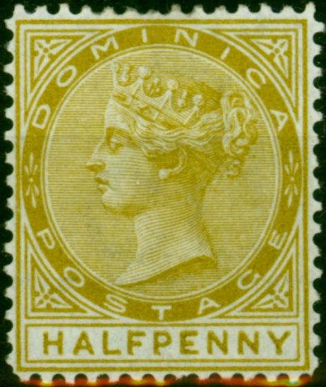 Rare Postage Stamp Dominica 1879 1/2d Olive-Yellow SG4 Fine MM
