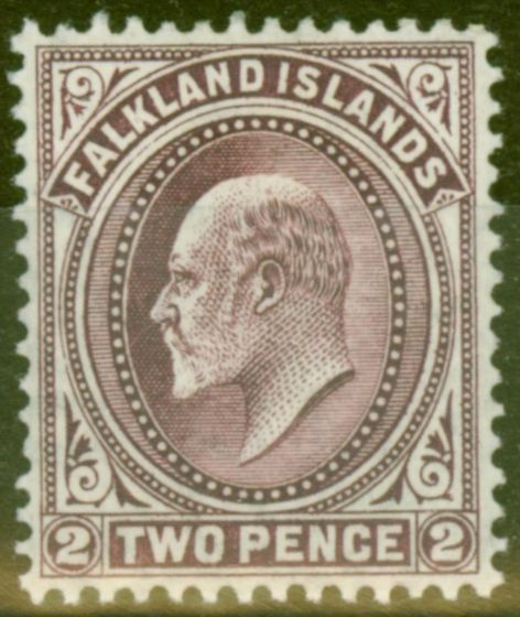 Rare Postage Stamp from Falkland Islands 1904 2d Purple SG45 Fine Mtd Mint