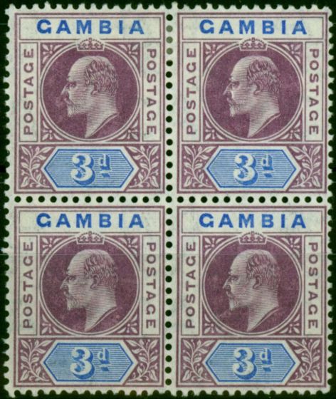 Old Postage Stamp Gambia 1905 3d Purple & Ultramarine SG61 Fine MM & MNH Block of 4