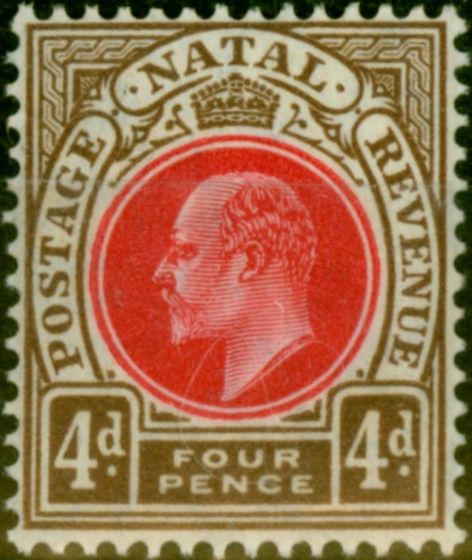 Collectible Postage Stamp Natal 1904 4d Carmine & Cinnamon SG152 V.F MNH