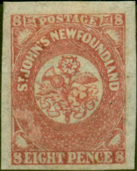Rare Postage Stamp Newfoundland 1862 8d Rose-Lake SG22 Fine LMM