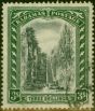 Rare Postage Stamp Bahamas 1924 3s Black & Green SG114 Fine Used