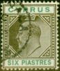Old Postage Stamp from Cyprus 1904 6pi Sepia & Green SG67 V.F.U