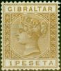 Valuable Postage Stamp from Gibraltar 1889 1p Bistre SG30 Fine Lightly Mtd Mint