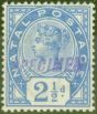 Collectible Postage Stamp from Natal 1891 2 1/2d Brt Blue Specimen SG113s V.F Very Lightly Mtd Mint