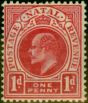 Rare Postage Stamp Natal 1904 1d Rose-Carmine SG147 Fine MM