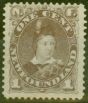 Collectible Postage Stamp from Newfoundland 1880 1c Dull Brown SG44a Fine Mtd Mint