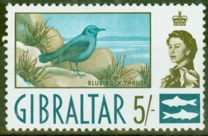 Rare Postage Stamp from Gibraltar 1960 5s Blue Rock Thrush SG171 Fine MNH