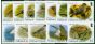 Falkland Islands 2017 Birds Set of 12 SG1368-1379 V.F MNH. Queen Elizabeth II (1952-2022) Mint Stamps
