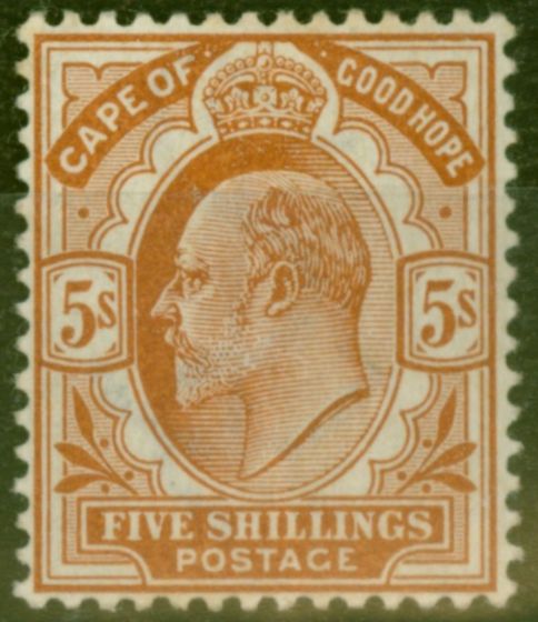 Rare Postage Stamp from Cape of Good Hope 1903 5s Brown-Orange SG78 Fine Mtd Mint