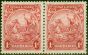 Valuable Postage Stamp Barbados 1932 1d Scarlet SG231c P.13 x 12 V.F MNH Pair