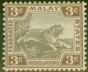Old Postage Stamp from Fed of Malay States 1905 3c Grey-Brown & Brown SG32a Fine Very Lightly Mtd Mint