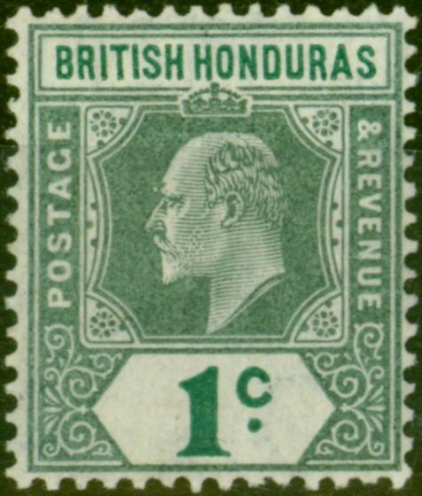 Collectible Postage Stamp British Honduras 1905 1c Grey-Green & Green SG84 Fine LMM