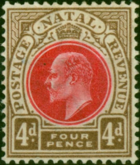Collectible Postage Stamp Natal 1902 4d Carmine & Cinnamon SG133 Fine MM