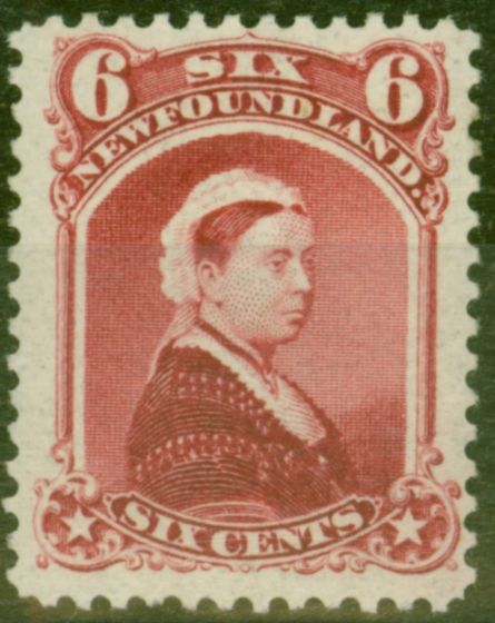 Valuable Postage Stamp from Newfoundland 1894 6c Crimson SG60 V.F Very Lightly Mtd Mint