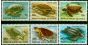 Old Postage Stamp Papua New Guinea 1984 Turtles Set of 6 SG472-477 V.F MNH
