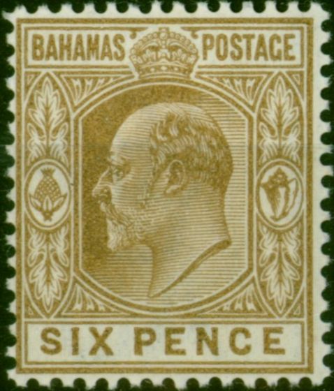 Old Postage Stamp Bahamas 1902 6d Brown SG66 Fine & Fresh MM