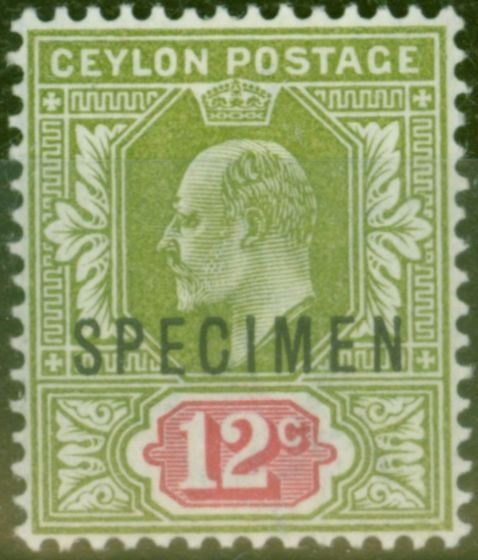 Valuable Postage Stamp from Ceylon 1903 12c Sage-Green & Rosine Specimen SG270s V.F Very Lightly Mtd Mint