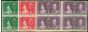 Collectible Postage Stamp Newfoundland 1937 Coronation Set of 3 SG254-256 in V.F VLMM & MNH Blocks of 4
