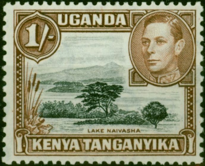 KUT 1942 1s Black & Brown SG145a Fine VLMM  King George VI (1936-1952) Rare Stamps