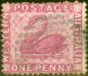 Rare Postage Stamp from Western Australia 1861 1d Rose SG38 Fine Used