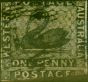 Rare Postage Stamp Western Australia 1854 1d Black SG1 Good Used