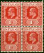Old Postage Stamp Fiji 1908 1d Red SG119 Superb MNH Block of 4