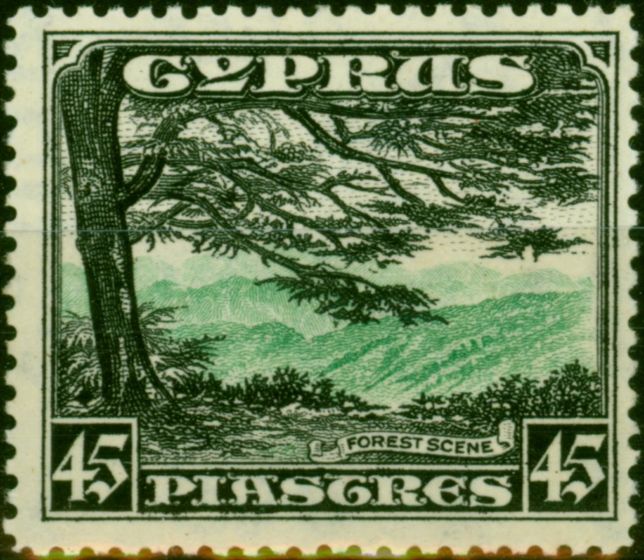 Old Postage Stamp Cyprus 1934 45pi Green & Black SG143 Fine LMM