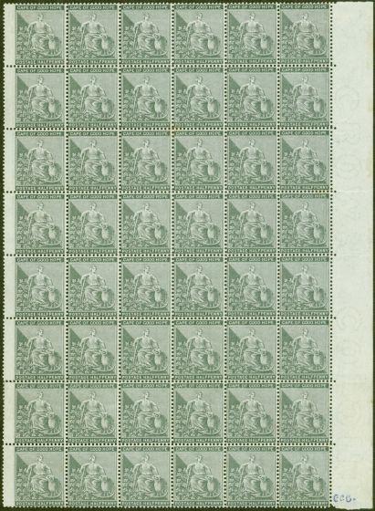 Rare Postage Stamp from Cape of Good Hope 1875 1/2d Grey-Black SG28 Superb MNH Marginal Block of 48