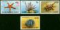 Valuable Postage Stamp Cocos (Keeling) Islands 1991 Starfish & Sea Urchins Set of 4 SG240-243 V.F MNH