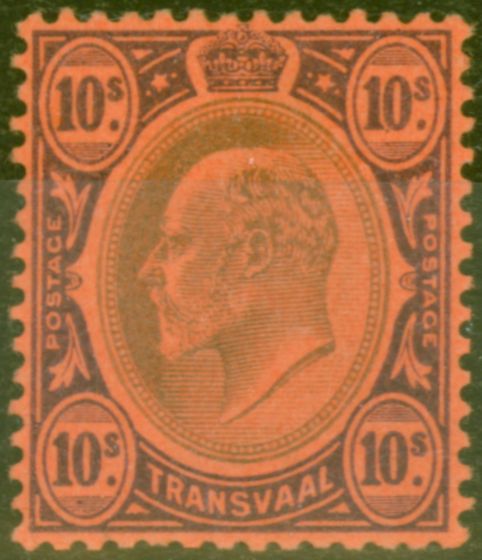 Rare Postage Stamp from Transvaal 1902 10s Black & Purple-Red SG255 V.F Lightly Mtd Mint