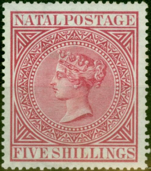 Collectible Postage Stamp from Natal 1874 5s Rose SG72 Fine & Fresh Mtd Mint