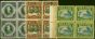 Rare Postage Stamp Niue 1938 Set of 3 SG75-77 V.F MNH Blocks of 4