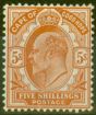 Rare Postage Stamp from Cape of Good Hope 1903 5s Brown-Orange SG78 V.F Very Lightly Mtd Mint