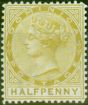 Valuable Postage Stamp from Dominica 1879 1/2d Olive-Yellow SG4 Fine & Fresh Mtd Mint