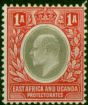 East Africa KUT 1904 1a Grey & Red SG18a Chalk Fine VLMM . King Edward VII (1902-1910) Mint Stamps
