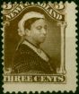 Newfoundland 1896 3c Chocolate-Brown SG65a Good Unused  Queen Victoria (1840-1901) Valuable Stamps