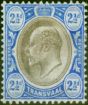 Rare Postage Stamp Transvaal 1905 2 1/2d Black & Blue SG263 Fine & Fresh MM