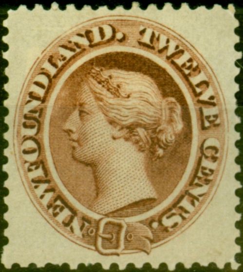 Valuable Postage Stamp from Newfoundland 1865 12c Red-Brown SG28 Fine Mtd Mint Stamp