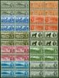 Valuable Postage Stamp Newfoundland 1937 Coronation Set of 10 to 25c SG257d-266d V.F MNH & VLMM Blocks of 4 CV £88